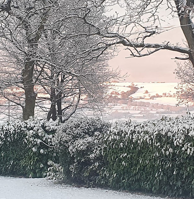 HortonHouseSnow(2)2021.jpg